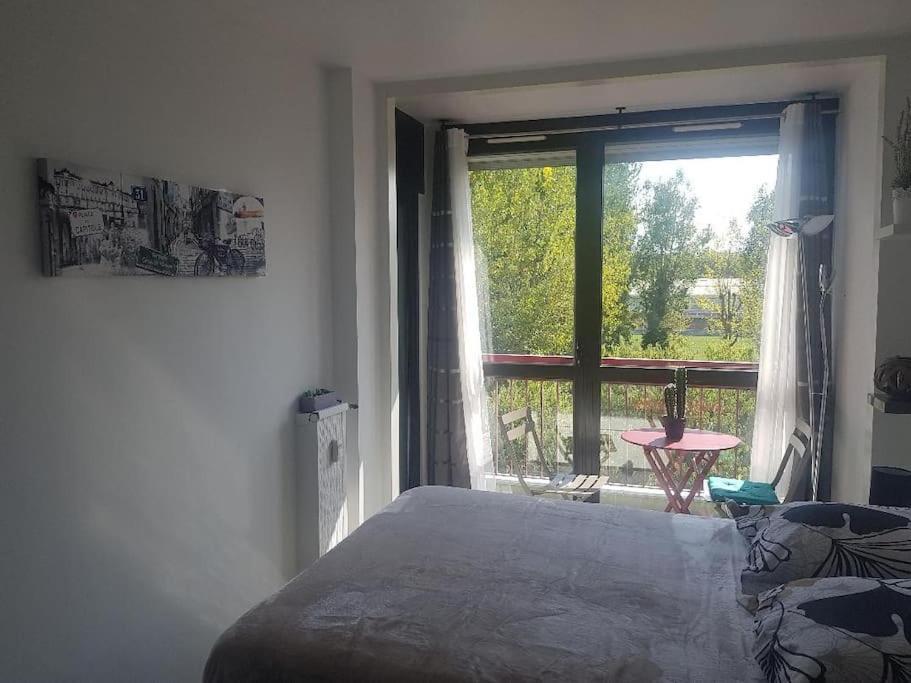 Appartement Cosy Entierement Equipe Toulouse Exterior photo