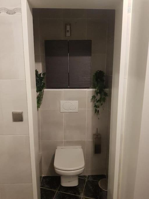 Appartement Cosy Entierement Equipe Toulouse Exterior photo